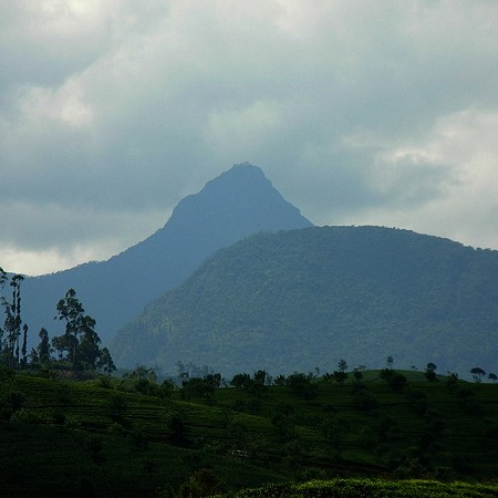 Adam's Peak - 2,243 metres. Known for the sacred footprint (Sri Pada) near the summit.