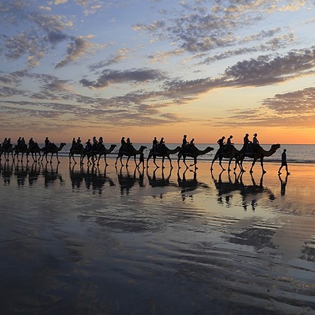 Sunset camel ride - Broome, WA