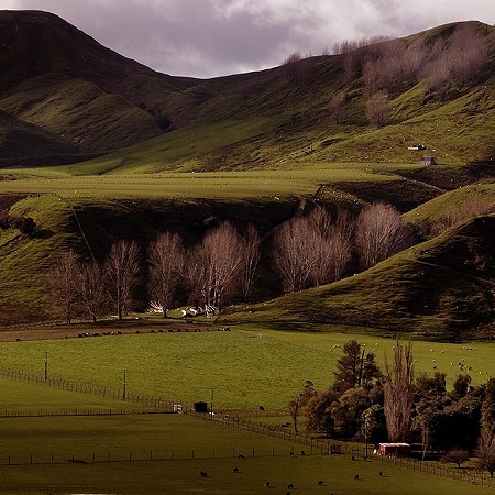Farmlands - Rotorua, North Island