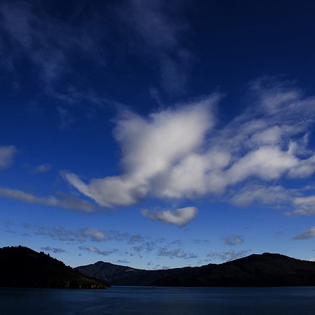 Blue skies - Marlborough Sounds, South Island