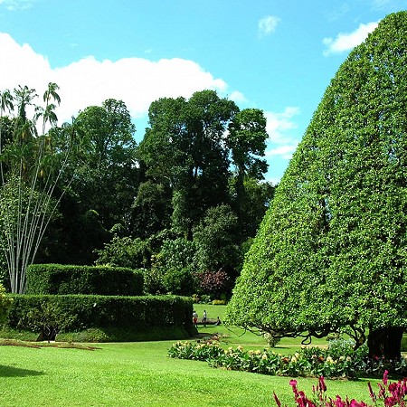 Royal Botanical Gardens - Peradeniya, Kandy